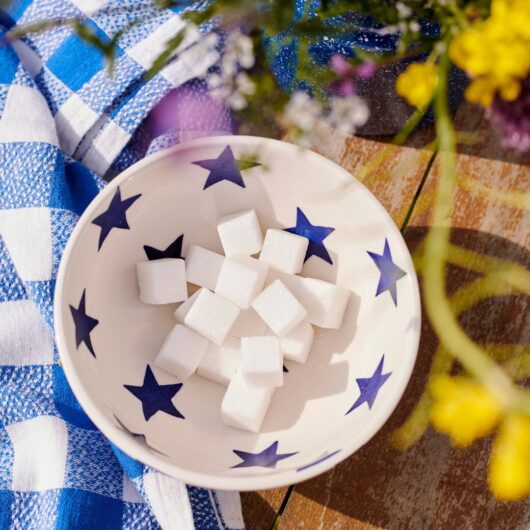 Emma Bridgewater | Blue Star Cereal Bowl - Unique Handmade & Handpainted English Earthenware Decorative Plates
